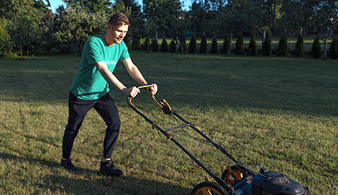 Yard Cleanup