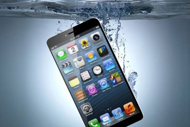 dropped your phone in water