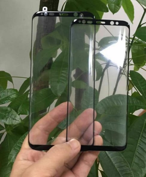 leaked screen protectors for S8