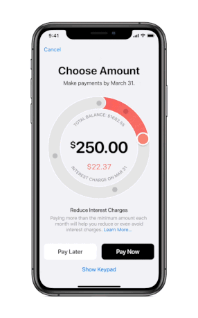 Apple Card choose payment amount screen 03252019 1