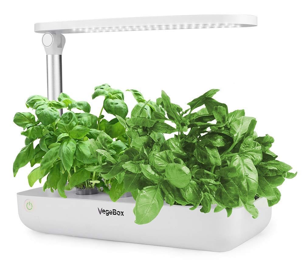 The Best Smart Garden Products