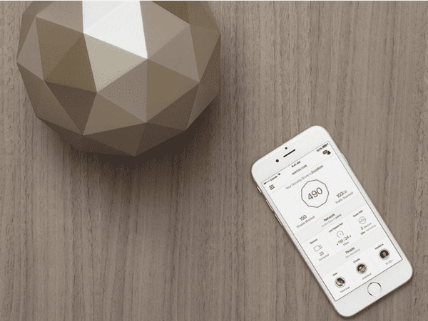 8dc83efb96965275216580fcbec16b66