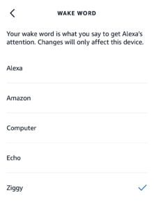Amazon Now Lets You Change Alexa’s Voice and Name to 'Ziggy' - The Plug ...