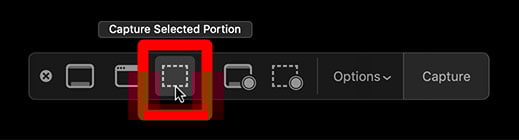 Capture Selected Portion